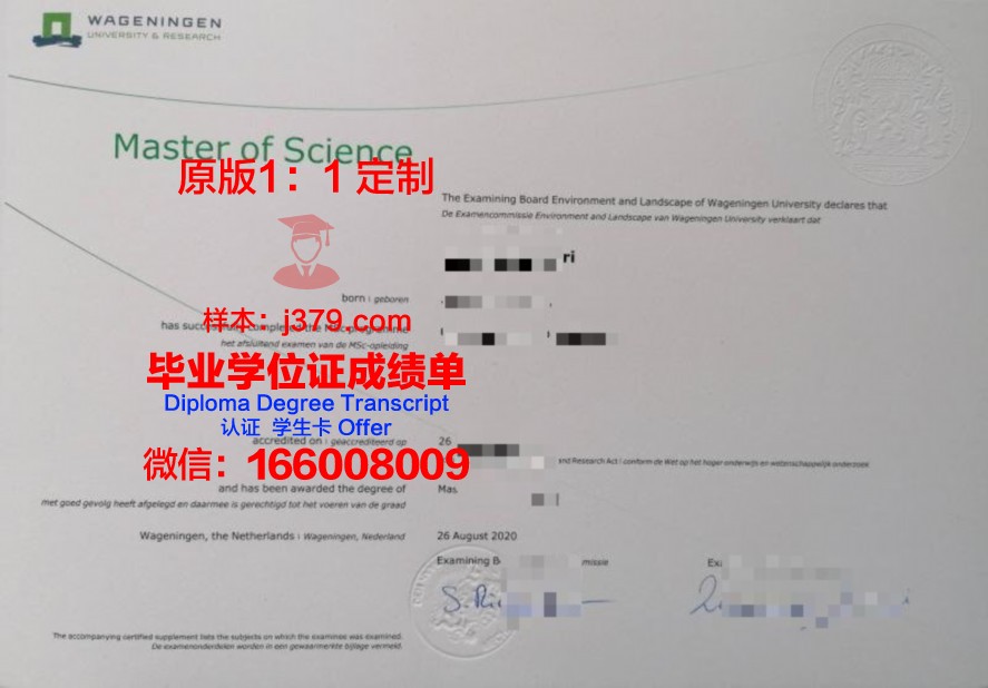 毕业证丢失？木斯大补办指南