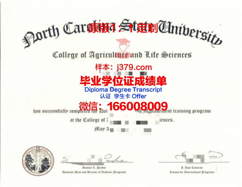 北卡州立毕业证丢失后,如何高效完成补办?