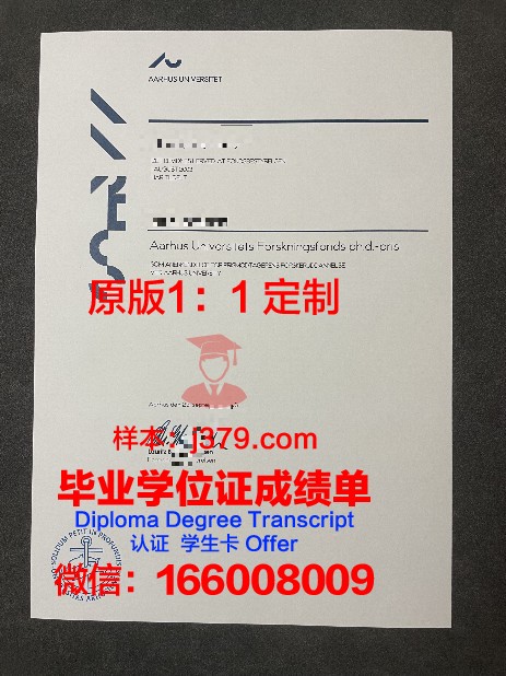 奥胡斯建筑学院本科阶段毕业证书