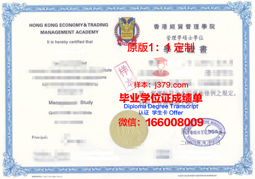 特伦托研究生证书:国际认可的学术成果
