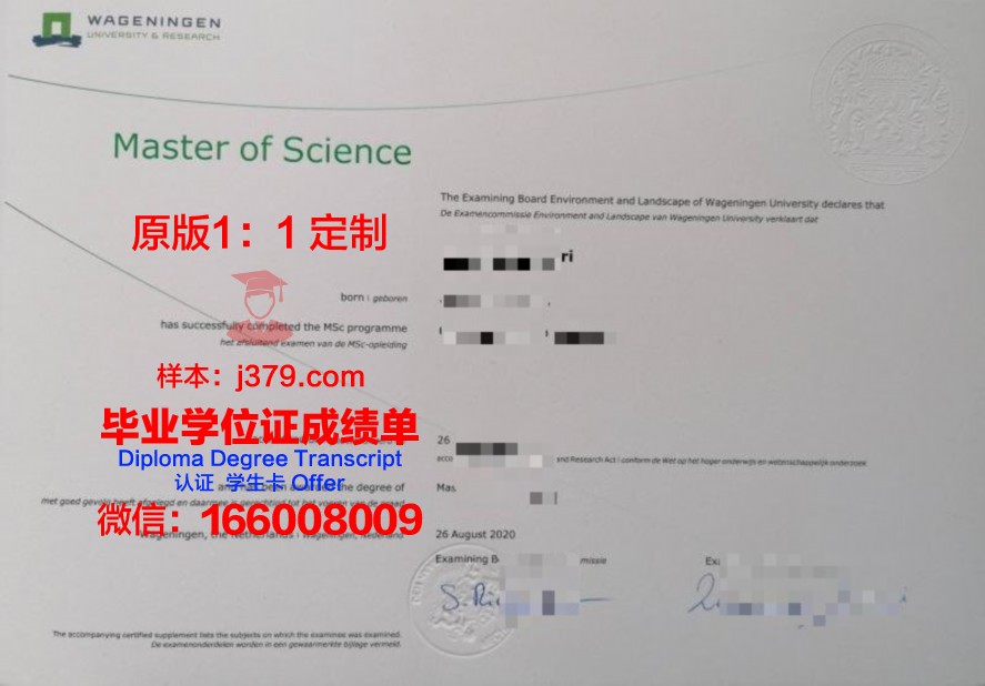 格校本科毕业证:国内外认可度与优势分析