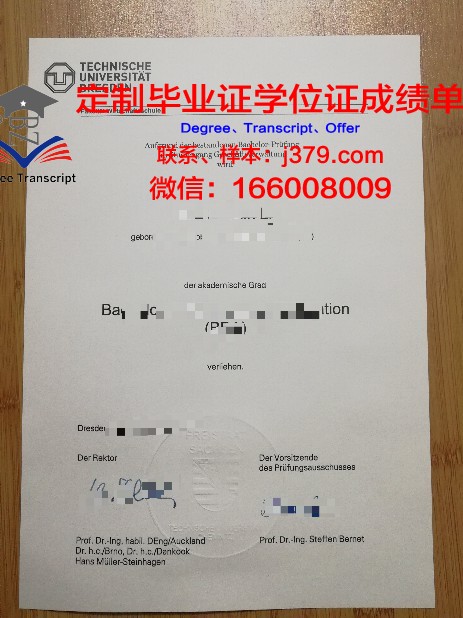 德累斯顿工业大学:学位证书与文凭