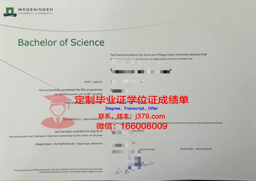 盐湖城社区学院本科证书