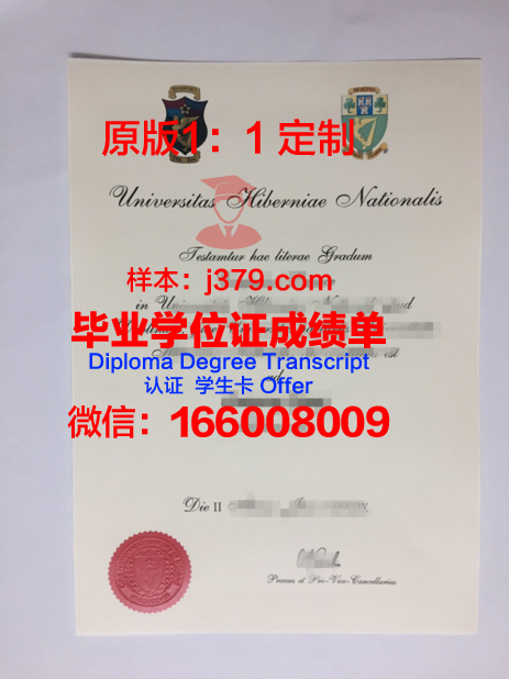 英国与爱尔兰现代音乐学府毕业文凭
