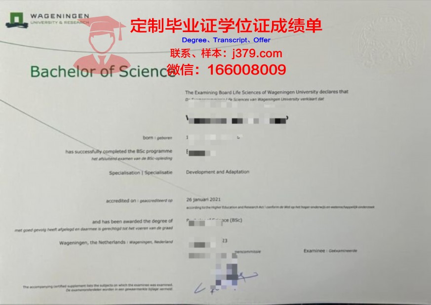 PFL本科毕业证书