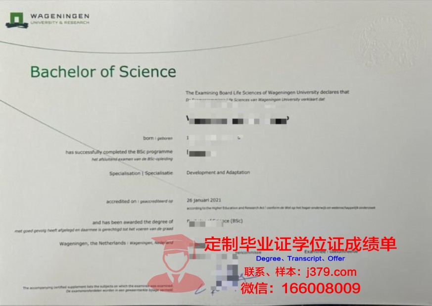 解析烈斯本科证书的含金量与价值