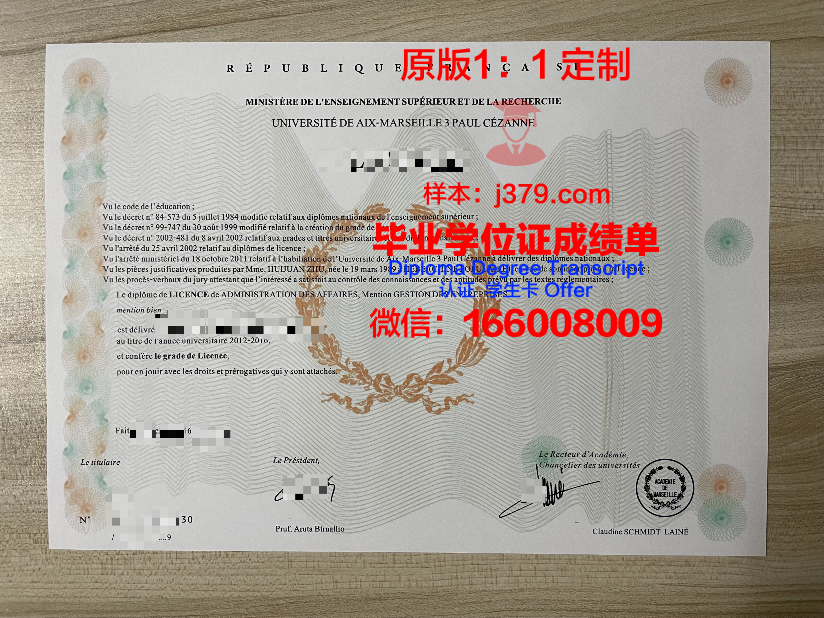马赛研究生证书价值评估:投资未来,收获成功