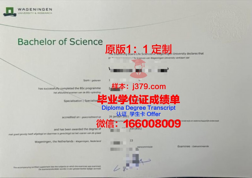 科院本科证书在国内外认可度探究