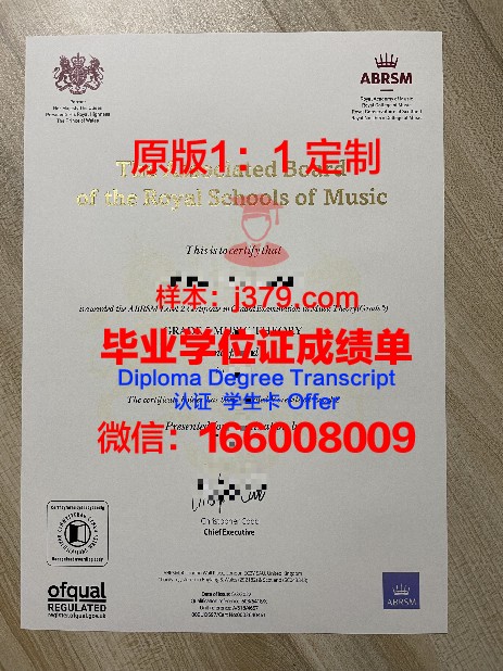 人文科学专业 Diplom 证书