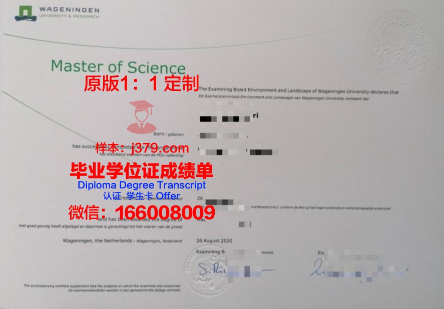 YMU硕士研究生资格证书