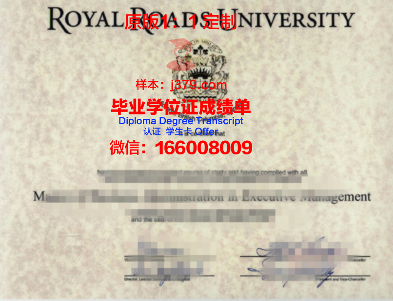 AAU学位证书及成绩记录