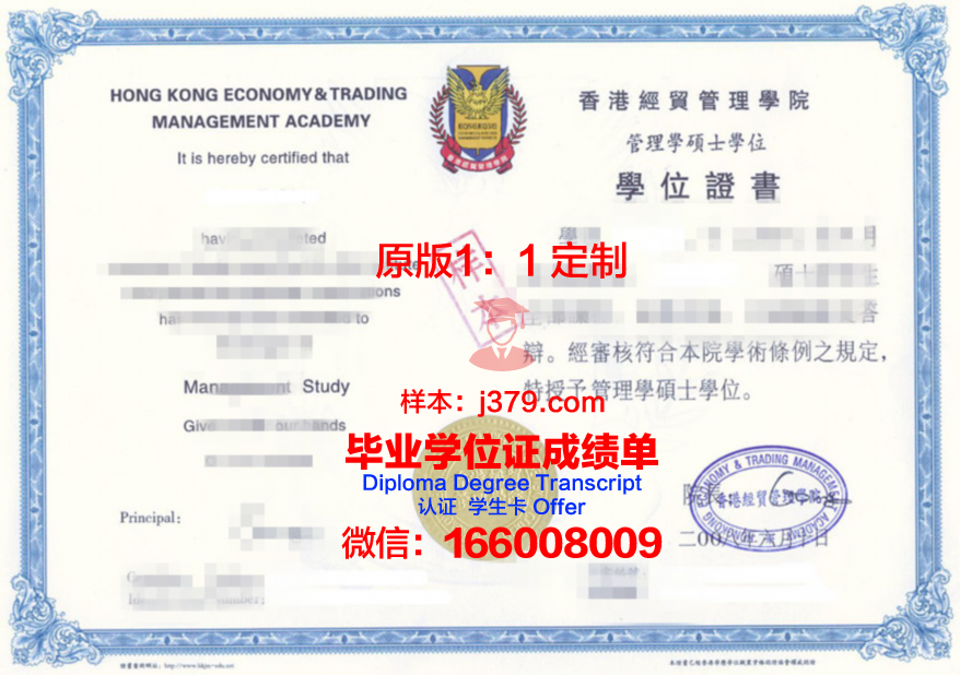 东海Diploma证书:毕业生就业优势分析