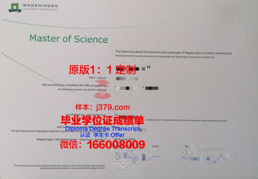 马来多媒体大学本科毕业证