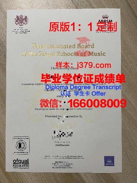 深入了解美因Diploma证书的含金量