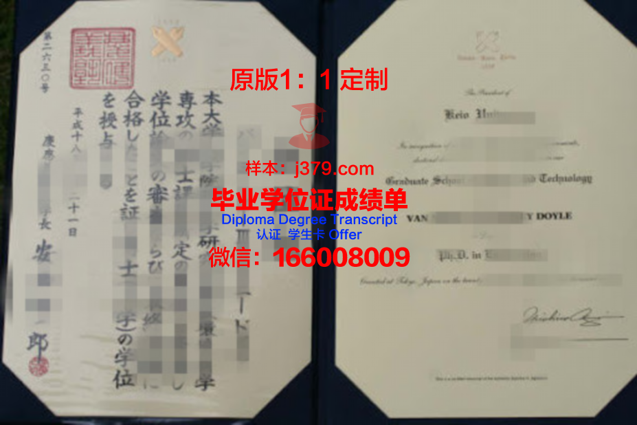 庆应研究生证书:校友资源与人际网络构建