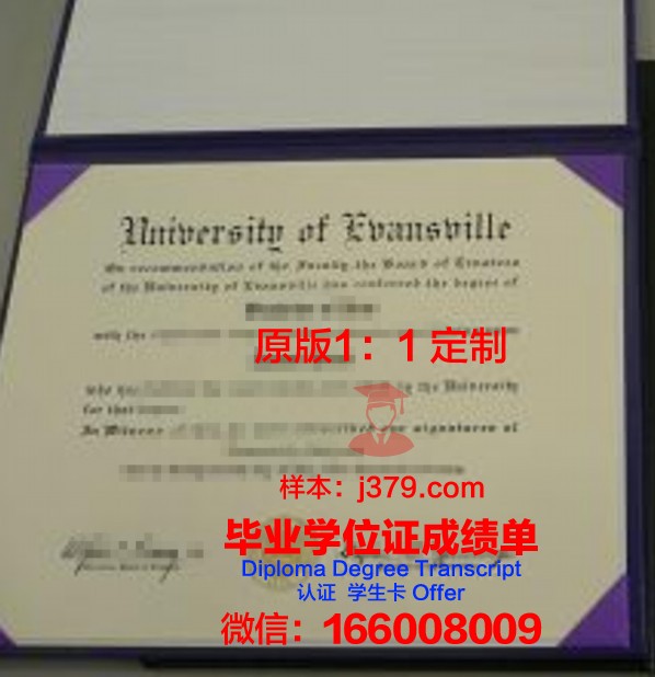 探索维纳斯本科证书的学术价值
