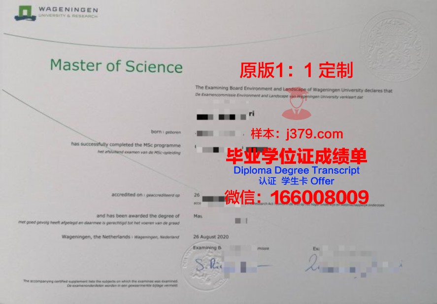 South Aus Uni毕业证电子版使用注意事项