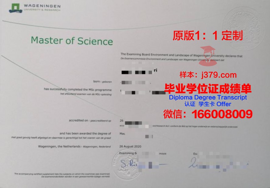 如何获取SPbUIT毕业证图片原图