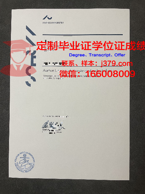 奥胡斯建筑学院本科阶段毕业证书