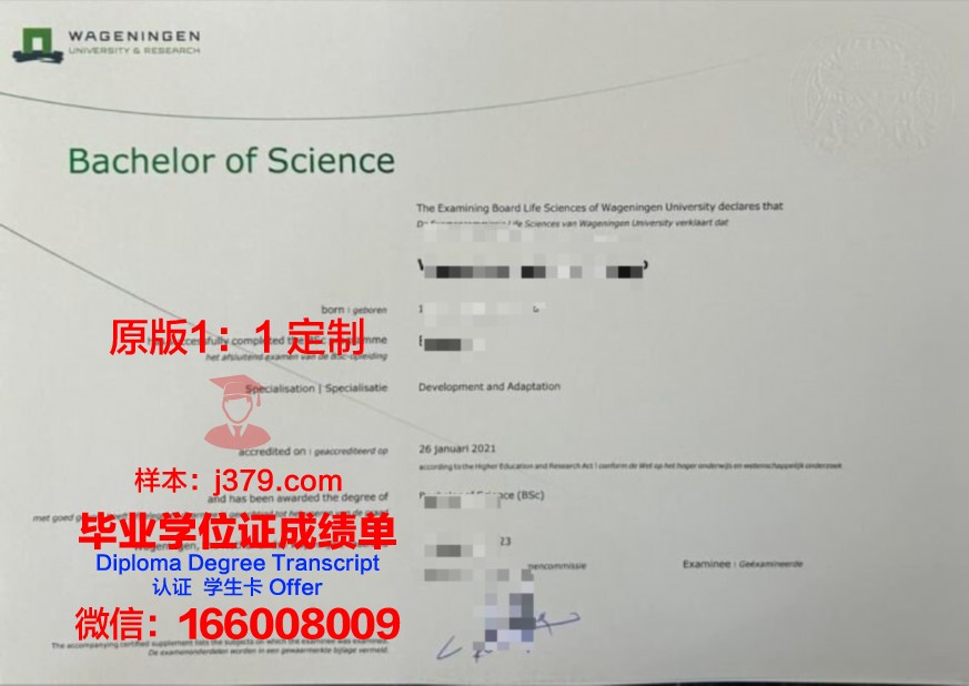 威罗本科证书:解锁职场高薪的敲门砖