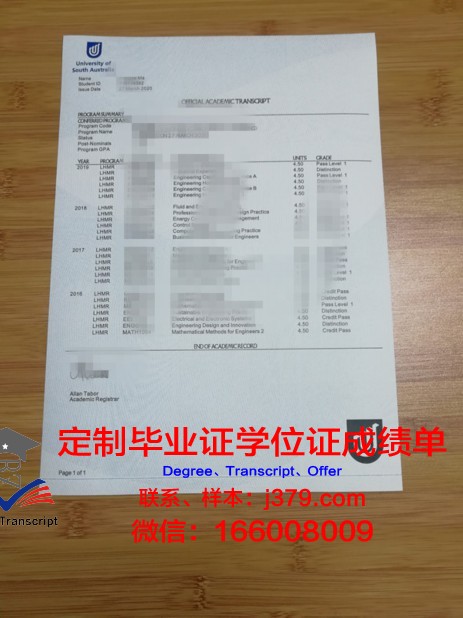 伦大亚非本科证书:开启国际就业市场的敲门砖