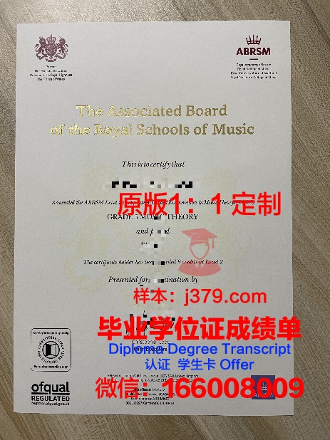 从TMD diploma证书看行业发展:前景与机遇