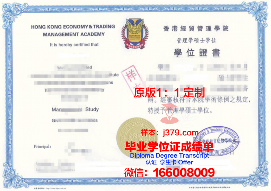FreeUni学术资格证书