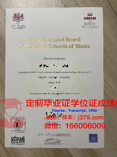 东南大本科证书:专业选择与就业前景