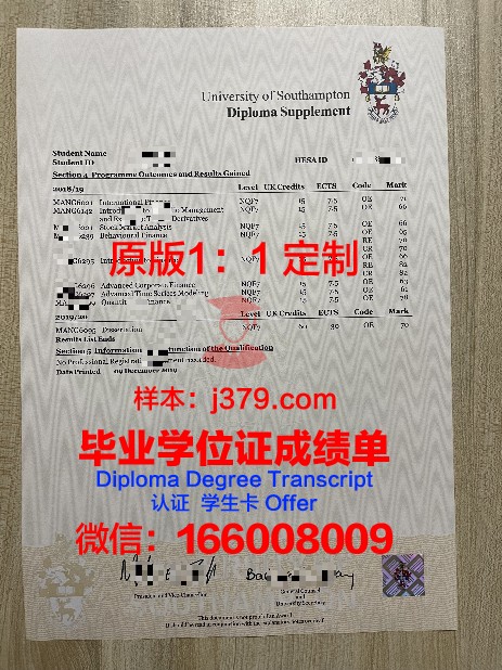 深入探讨萨安学成绩单的构成