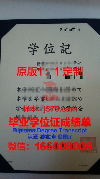 探讨能率大学Diploma证书在职场中的价值