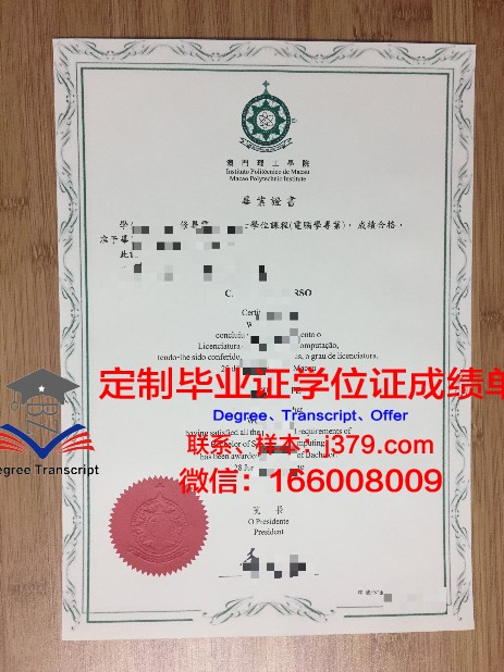 代大硕士毕业证:学历验证与就业竞争力探讨