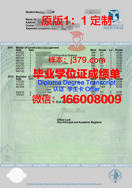 南科大成绩单解析:全面了解学生学术表现