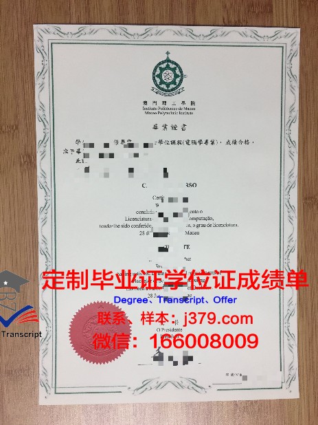 南十大本科毕业证:专业实力与就业率对比