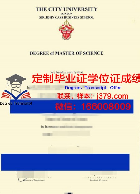 卡斯鲁厄理工研究生毕业证在国内外就业市场价值