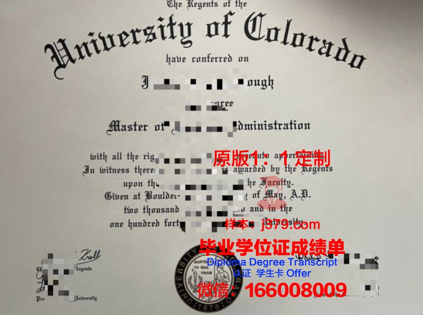 探索科大博尔德本科证书课程设置与特色
