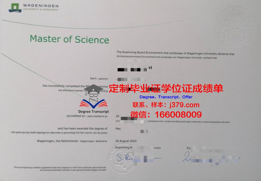 Toronto硕士证书:如何高效准备申请材料