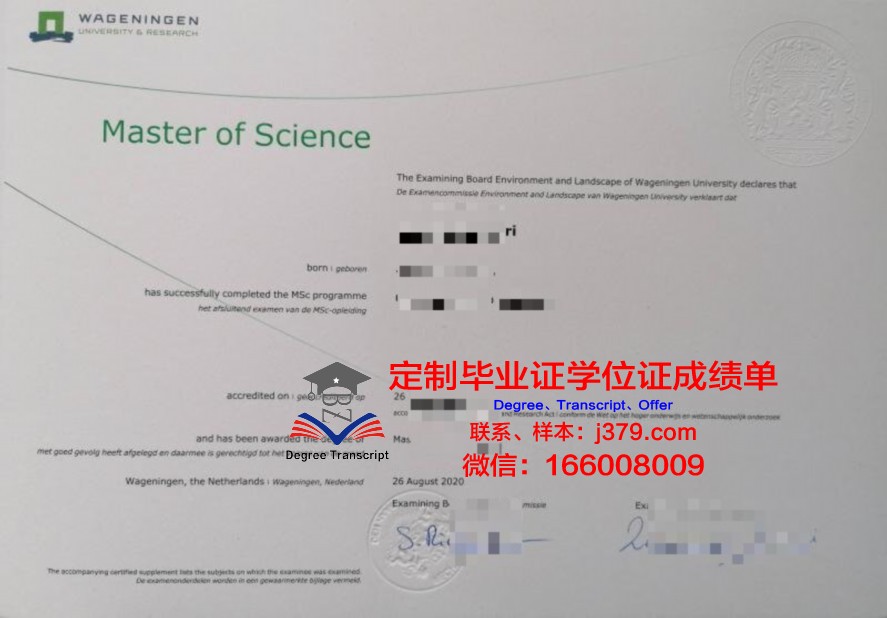 巴大硕士证书:专业选择与培养方向解析
