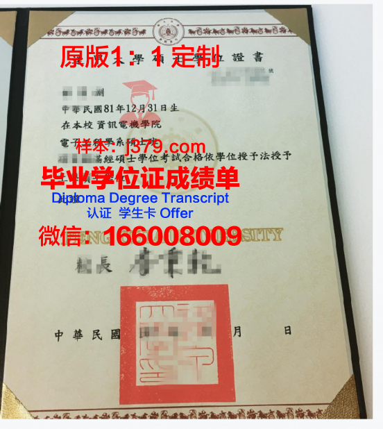 费萨大学学位证书