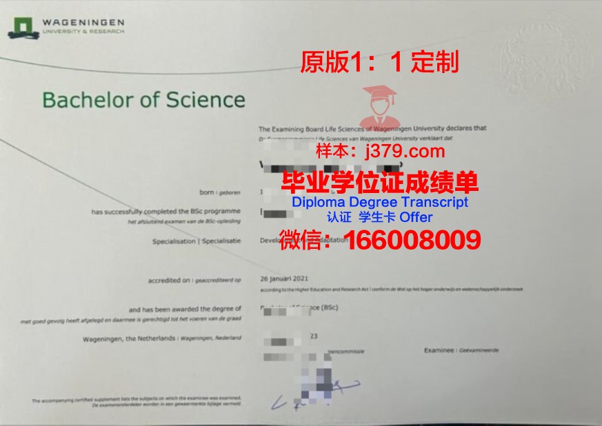 国际法商学院本科毕业证书