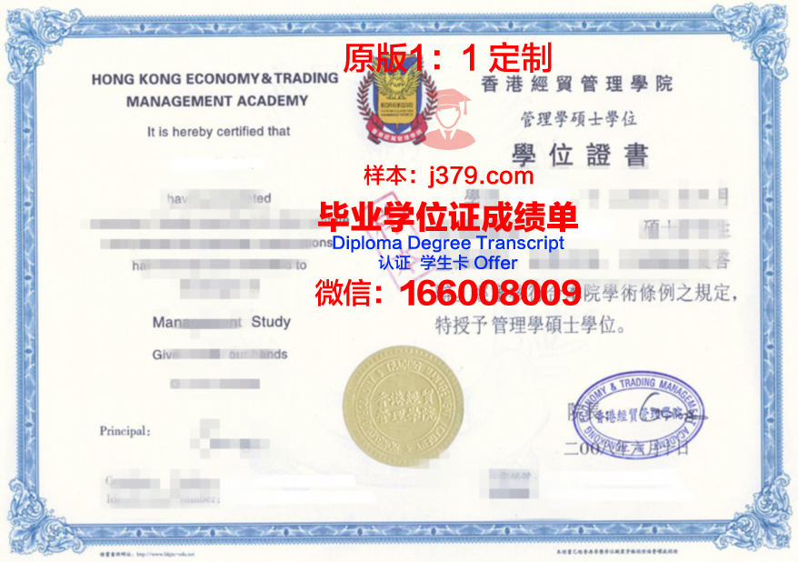 都会大Diploma证书:提升专业技能的黄金途径