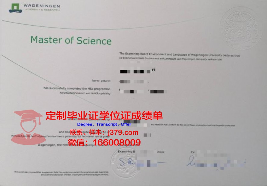 获取TaiTech毕业证后如何进行学历提升?