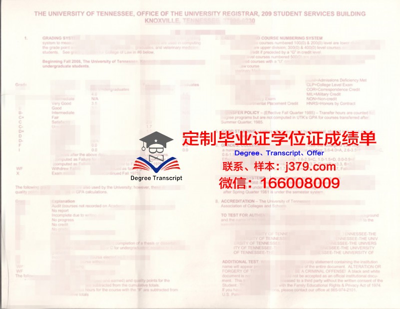 田纳西州立大学本科毕业证书