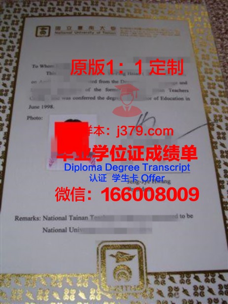 城市大学本科证书专业选择指南