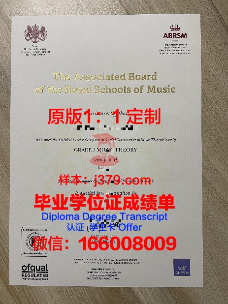 UIUC研究生水平证书