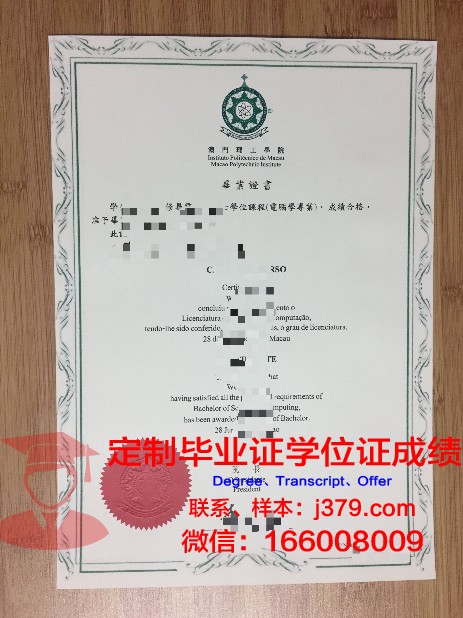 梅毕业证电子版安全性与保密措施探讨