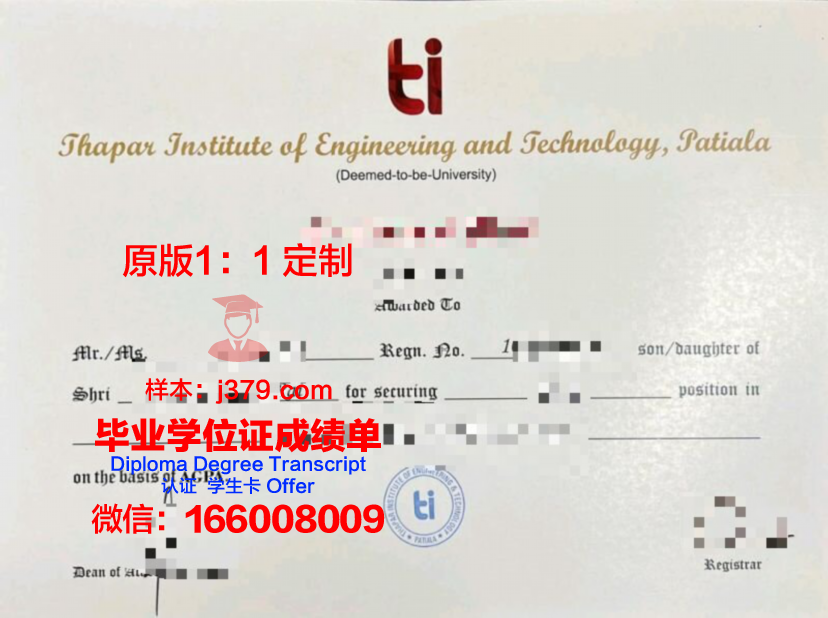 玛尼帕尔国际大学专业文凭