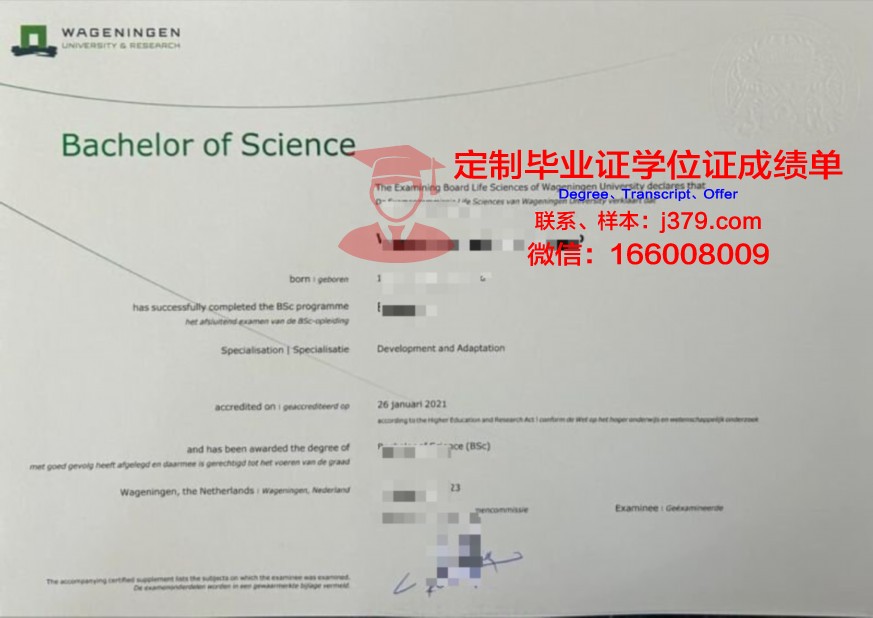 东北林区间院校本科毕业证书