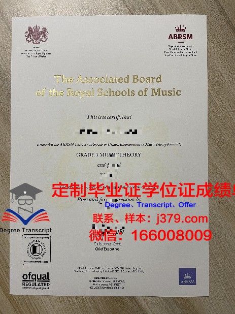 涅日大研究生证书:毕业生就业方向与薪资水平