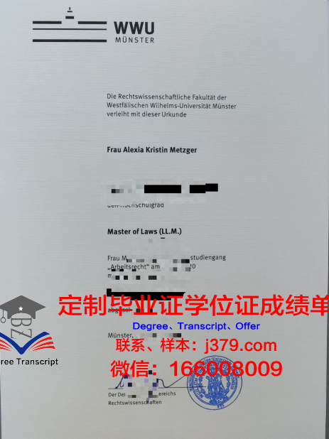 明斯特Diploma证书在国内外认可度分析