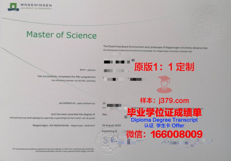 明大毕业证补办进度查询方法